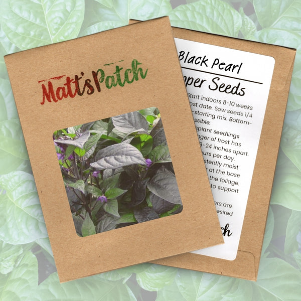 Black Pearl Pepper Seeds (15 Seeds)