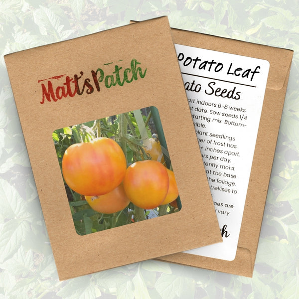 Hillbilly Tomato Leaf Tomato Seeds (25 Seeds)