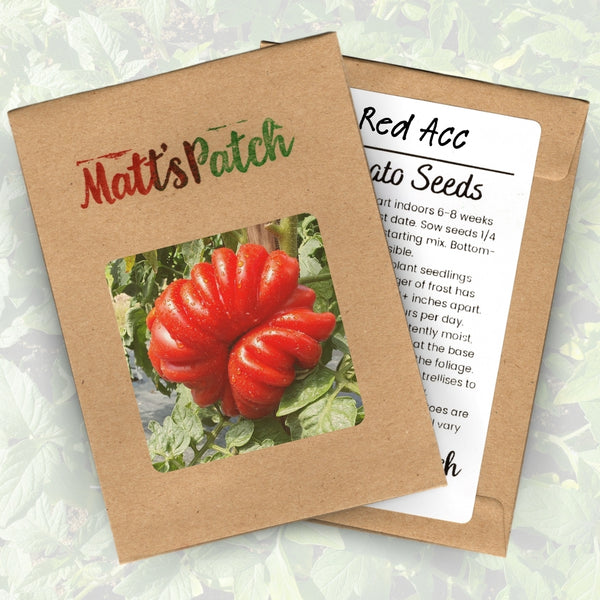 Red Accordion Tomato Seeds (15 Seeds)