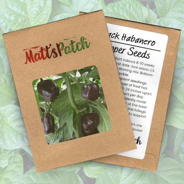 Black Habanero Pepper Seeds (15 Seeds)