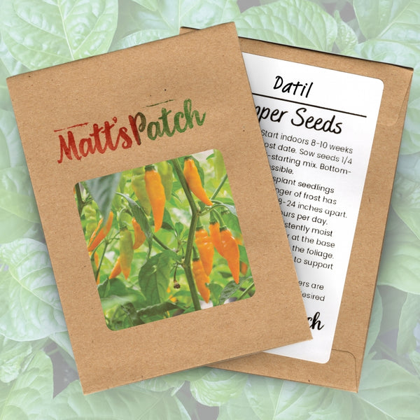 Datil Pepper Seeds (15 Seeds)