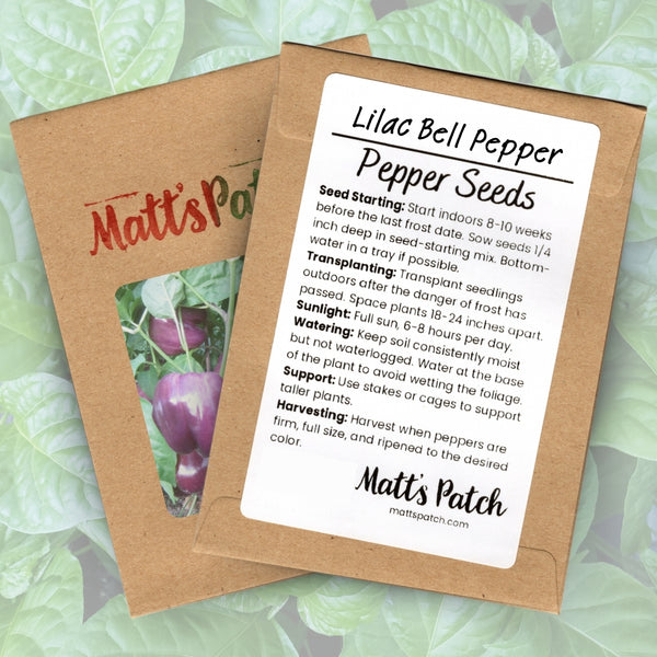 Lilac Bell Pepper Seeds (15 Seeds)