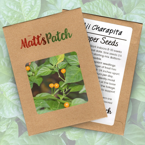 Aji Charapita Pepper Seeds (15 Seeds)