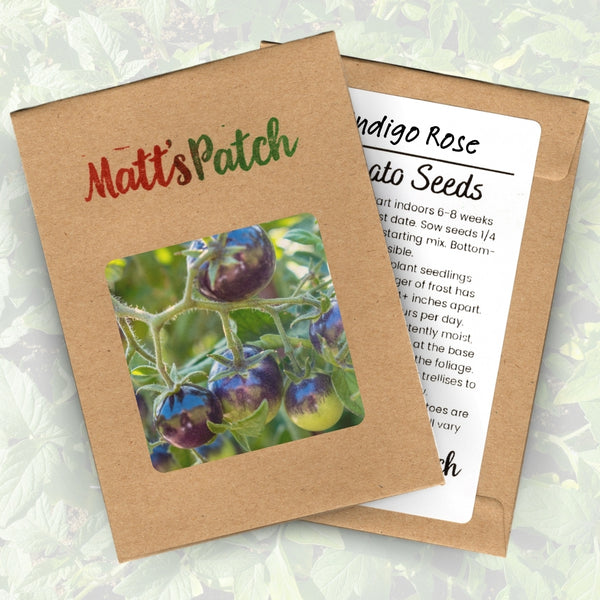 Indigo Rose Tomato Seeds (25 Seeds)