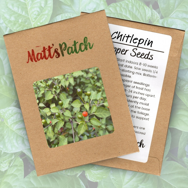 Chiltepin Pepper Seeds (15 Seeds)