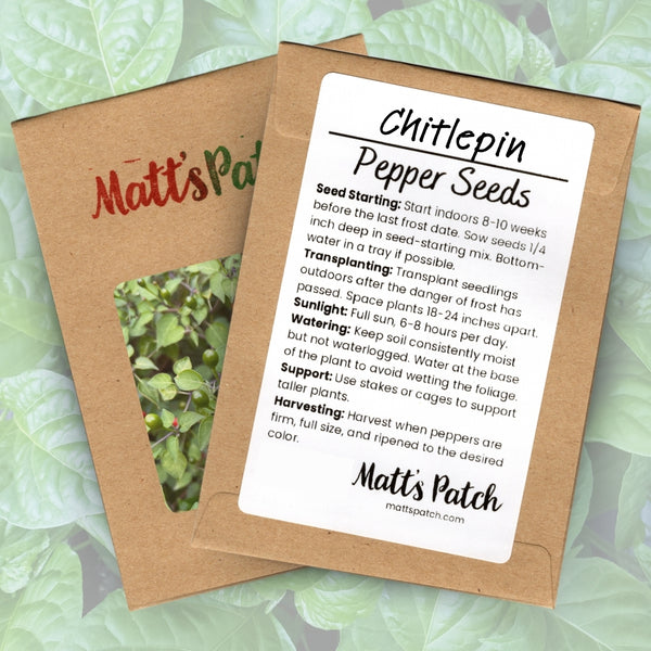 Chiltepin Pepper Seeds (15 Seeds)