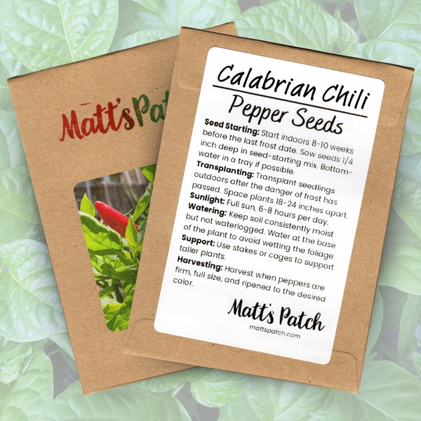 Calabrian Chili Pepper Seeds (15 Seeds)