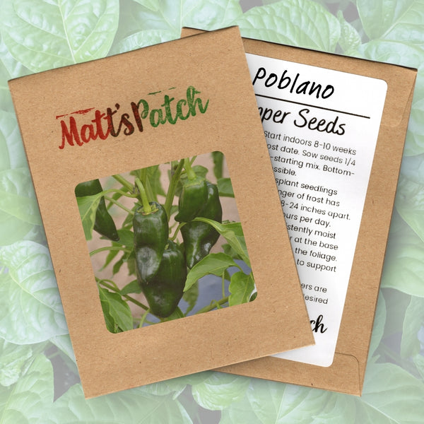 Poblano Pepper Seeds (15 Seeds)