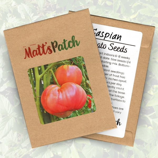 Caspian Tomato Seeds (25 Plants)