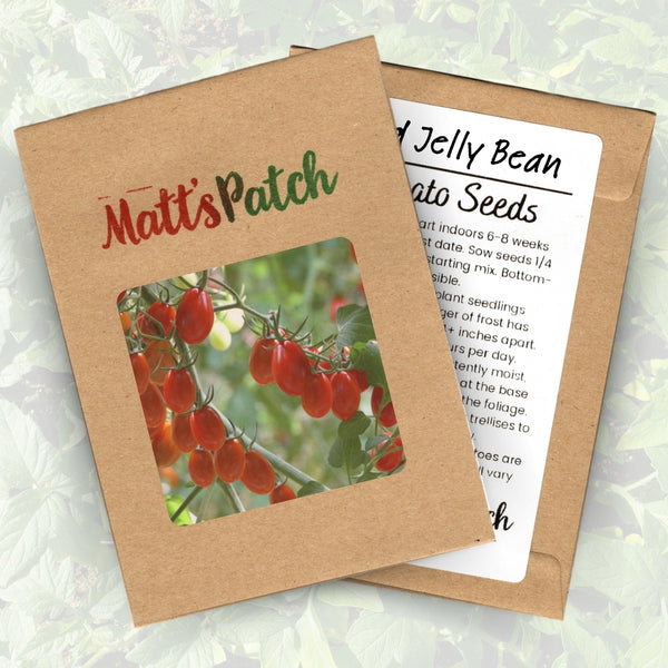 Red Jelly Bean Tomato Seeds (25 Seeds)