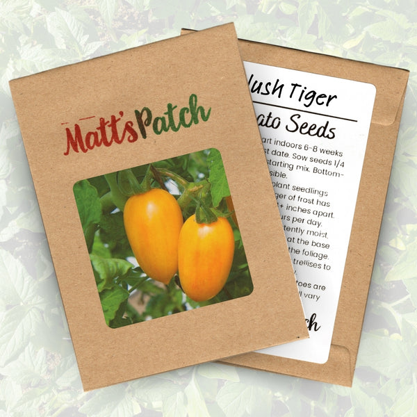 Blush Tiger Tomato Seeds (25 Seeds)