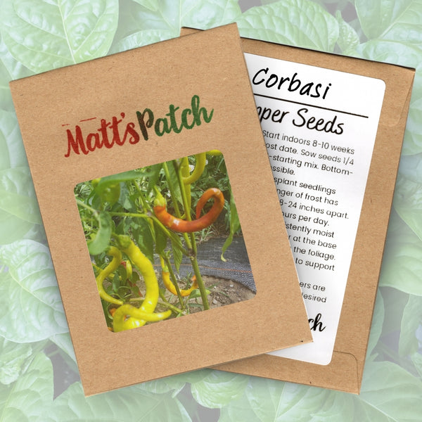 Corbasi Pepper Seeds (15 Seeds)