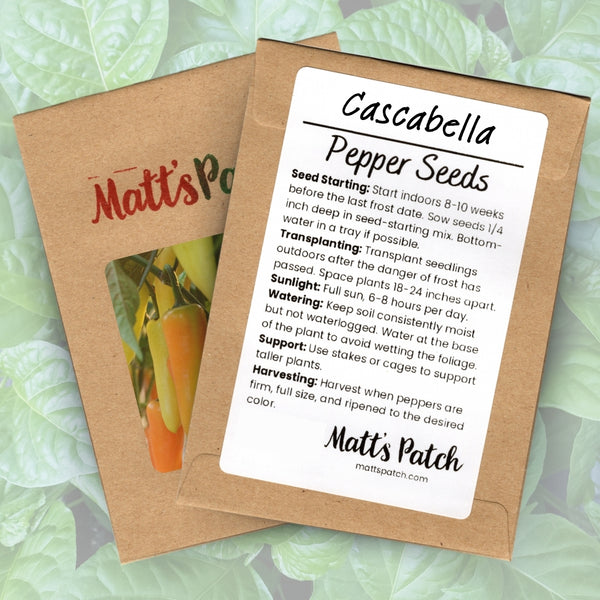 Cascabella Pepper Seeds (15 Seeds)