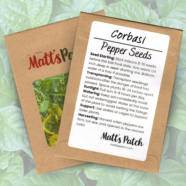 Corbasi Pepper Seeds (15 Seeds)