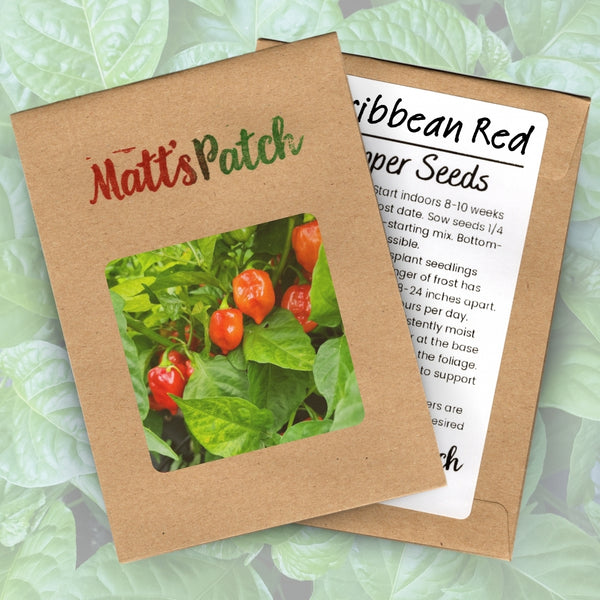 Caribbean Red Pepper Seeds (15 Seeds)