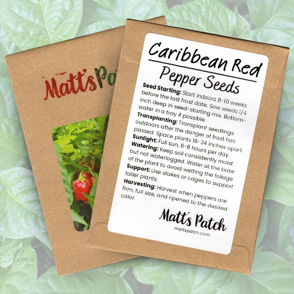 Caribbean Red Pepper Seeds (15 Seeds)